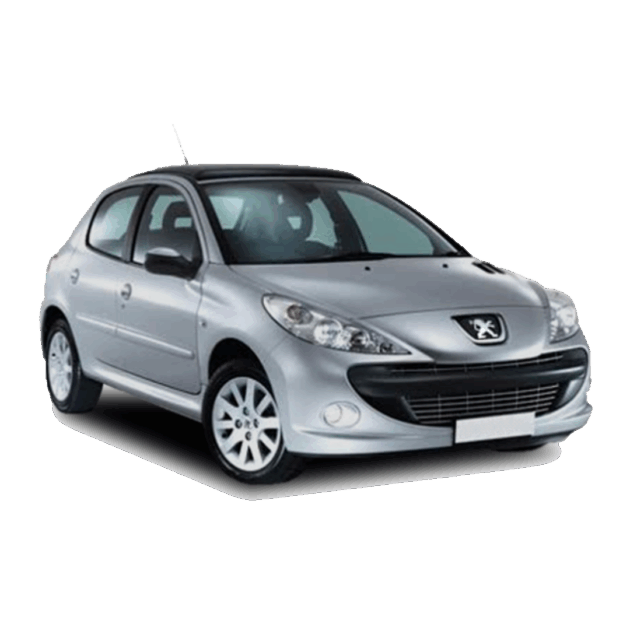 Service 206 / 207 / 307 - 40 mil Km