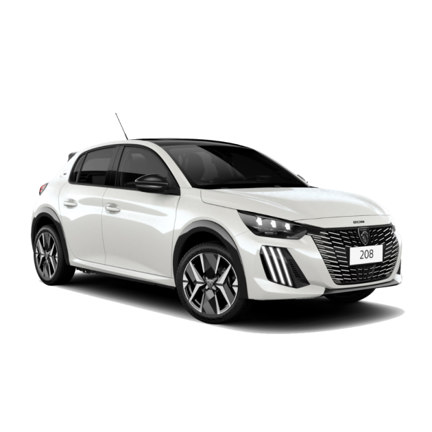 Service Nuevo 208 1.6 N - 50 mil Km